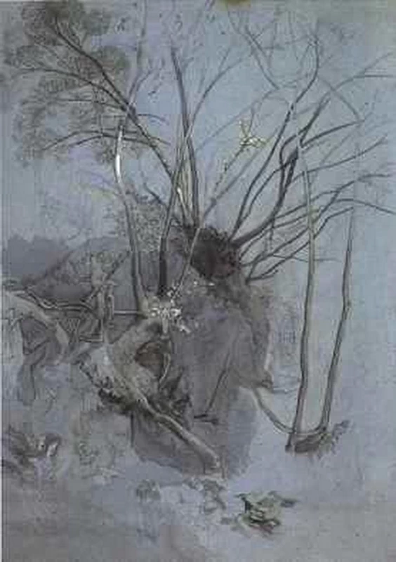 Studio dell'albero, 1845